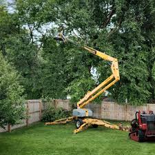 Best Utility Line Clearance  in Norwalk, OH