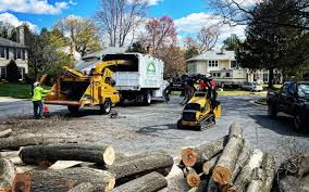 Best Tree Mulching  in Norwalk, OH