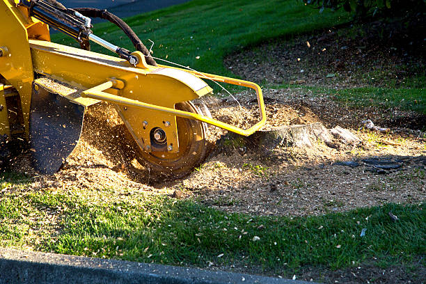 Mulching Services in Norwalk, OH